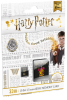 microSD UHS-I U1 Harry Potter Gryffindor 32Gb pack