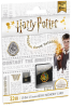 microSD UHS-I U1 Harry Potter Hogwarts 32Gb pack