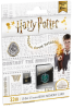 microSD UHS-I U1 Harry Potter Slytherin 32Gb pack